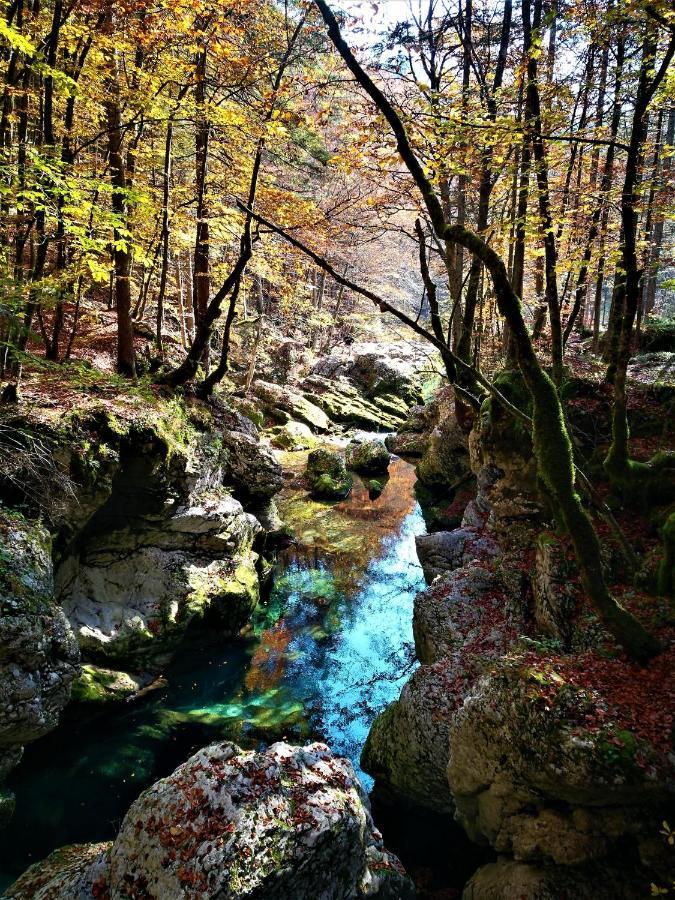 Chalet Ajda 보히니 외부 사진